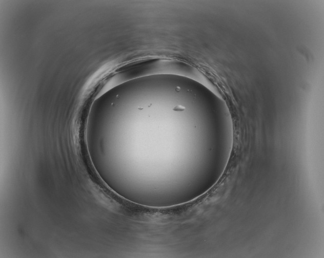 X0000114410197200910161214