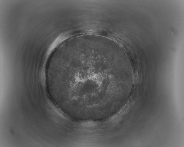 X0000114410198200910161214