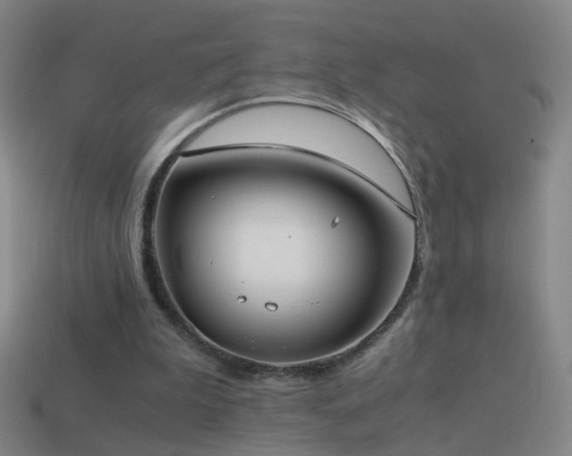 X0000114410199200910161214