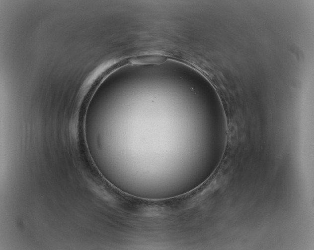 X0000114410200200910161214