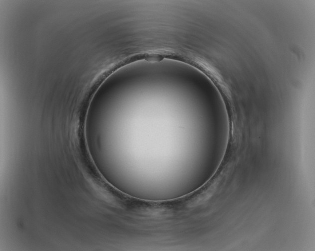 X0000114410201200910161214