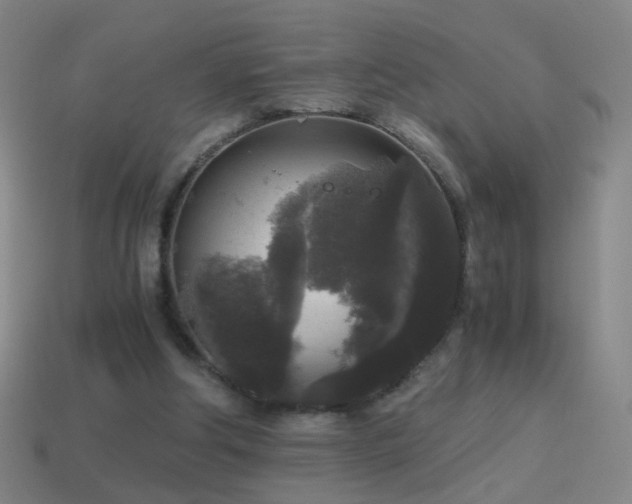 X0000114410202200910161214