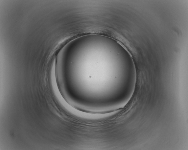X0000114410203200910161214