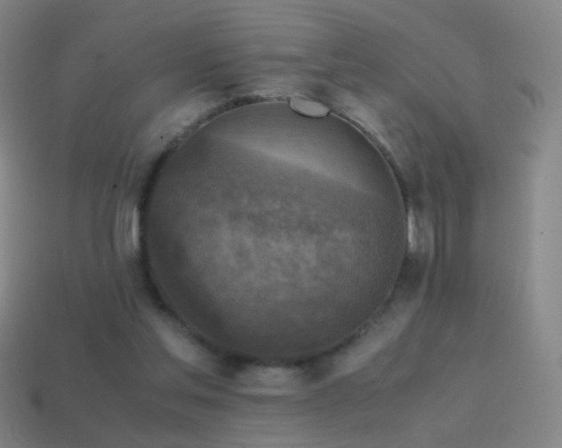 X0000114410205200910161214