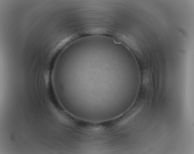 X0000114410206200910161214