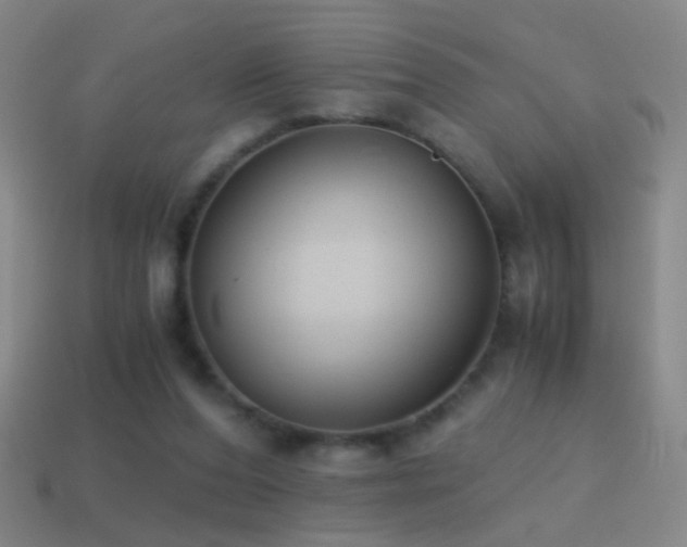 X0000114410208200910161214