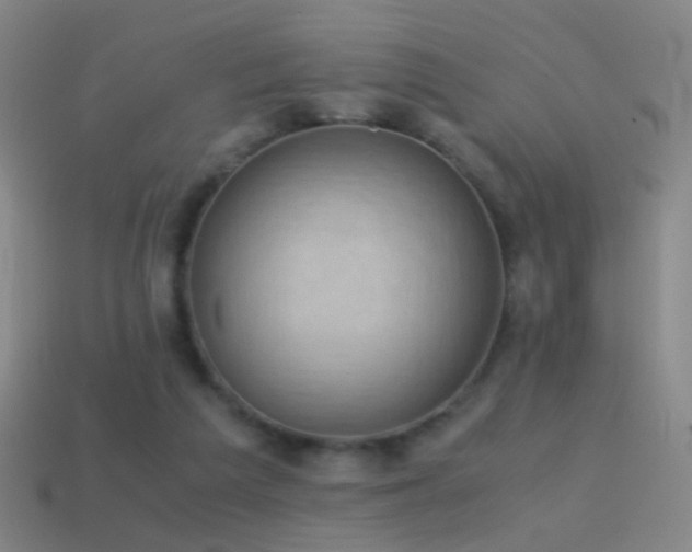 X0000114410209200910161214