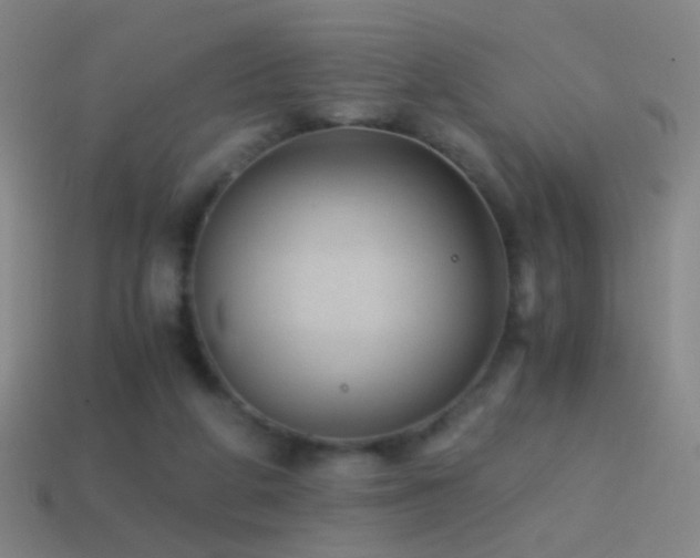 X0000114410210200910161214