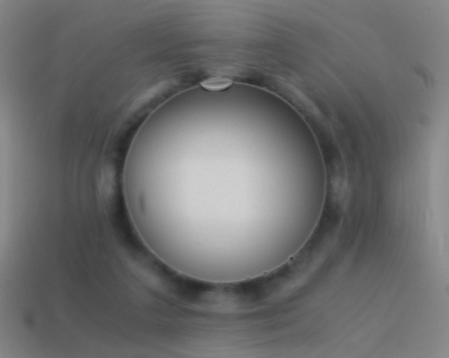 X0000114410211200910161214