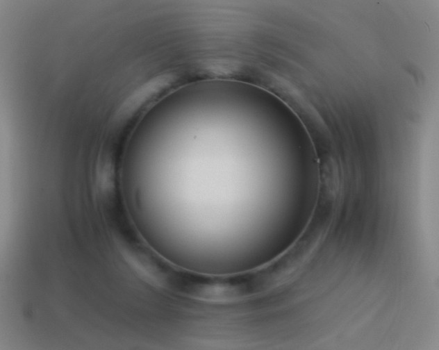 X0000114410212200910161214