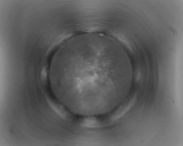 X0000114410214200910161214