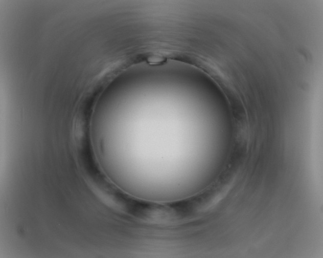 X0000114410215200910161214