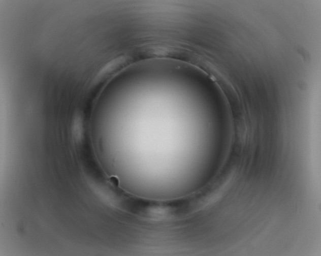 X0000114410216200910161214