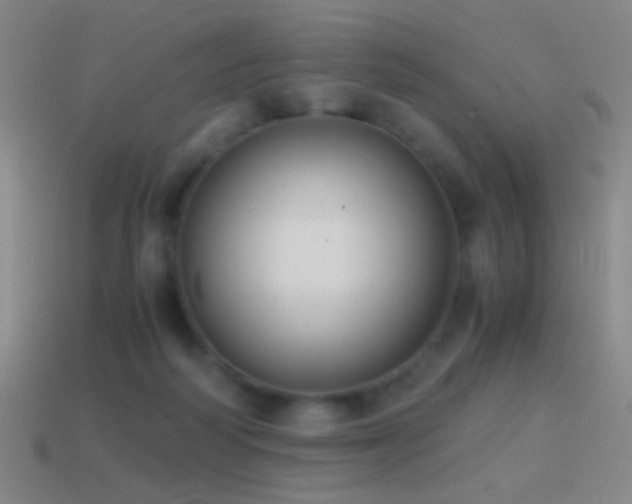 X0000114410218200910161214