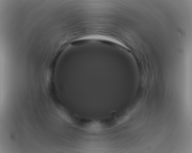 X0000114410219200910161214