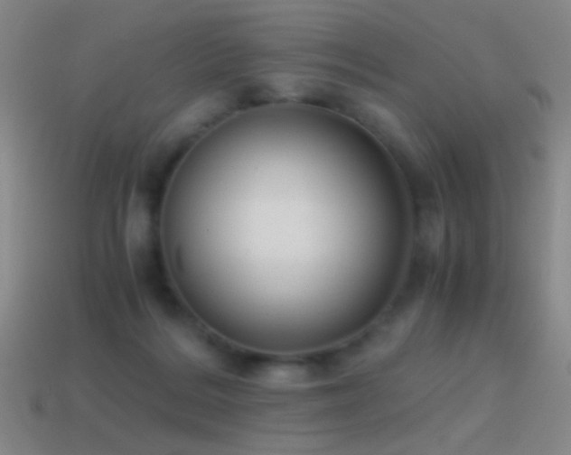X0000114410220200910161213