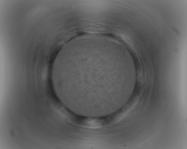 X0000114410221200910161213