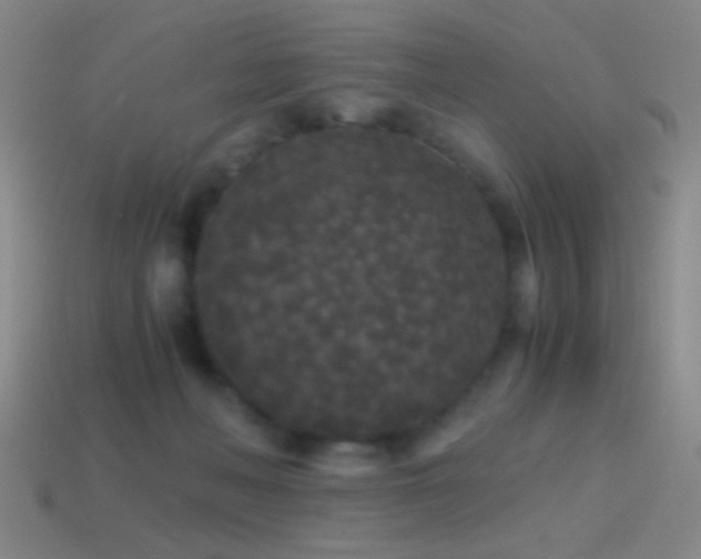 X0000114410222200910161213