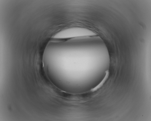 X0000114410223200910161213