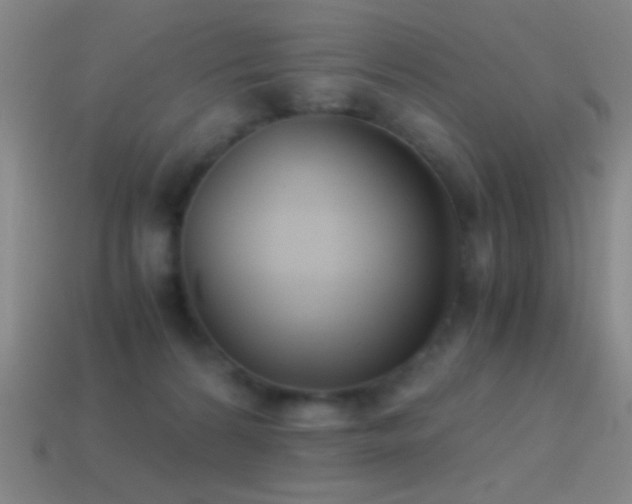 X0000114410224200910161213