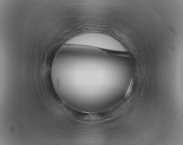 X0000114410225200910161213