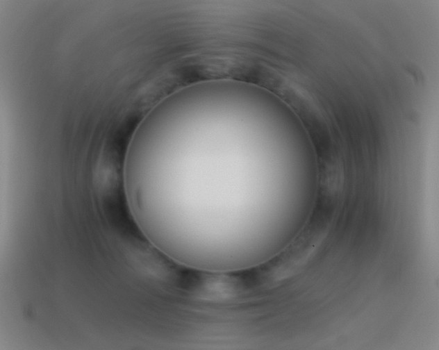 X0000114410226200910161213