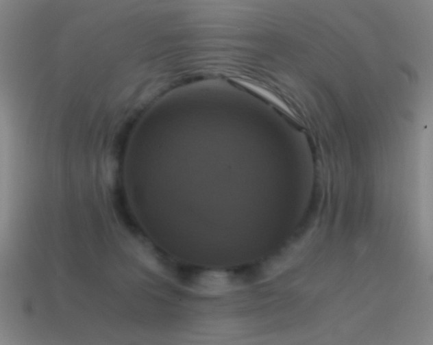 X0000114410227200910161213