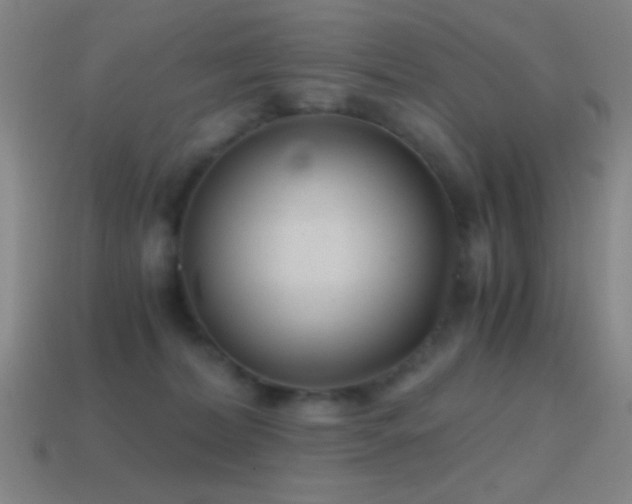 X0000114410228200910161213