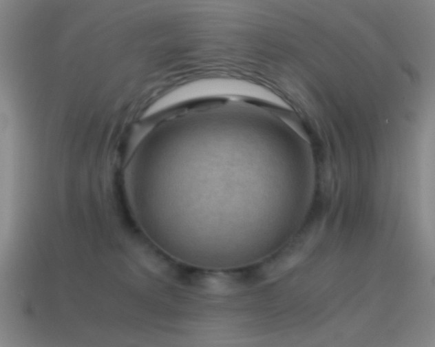 X0000114410229200910161213