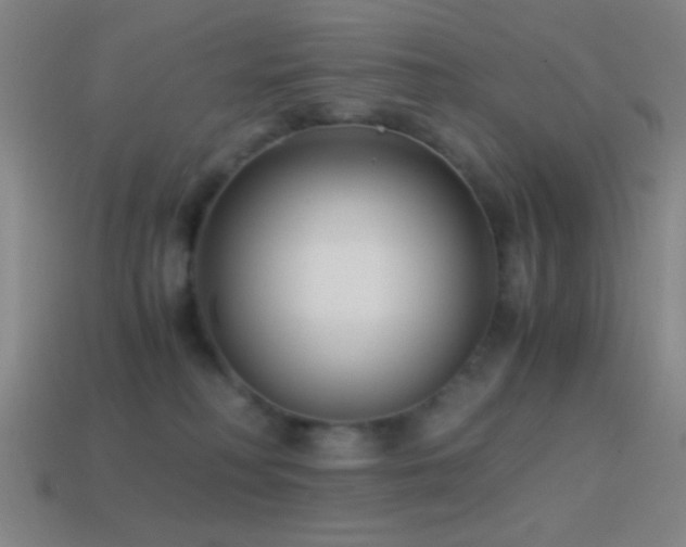 X0000114410230200910161213