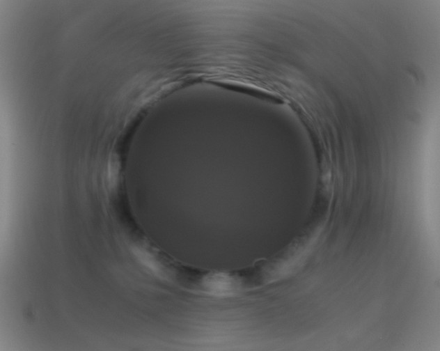 X0000114410231200910161213