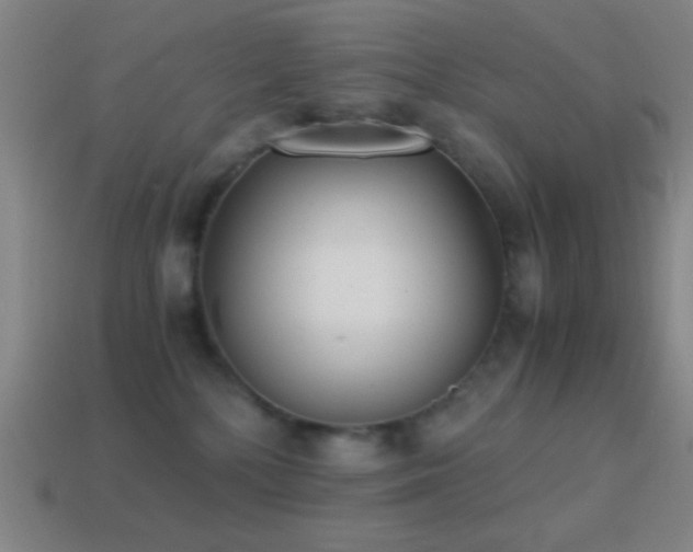 X0000114410232200910161213