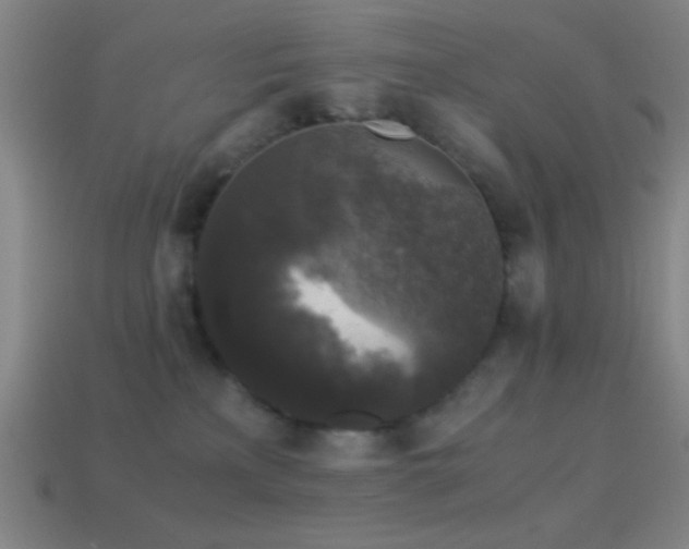 X0000114410233200910161213