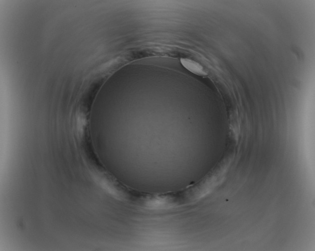 X0000114410235200910161213