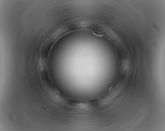 X0000114410236200910161213