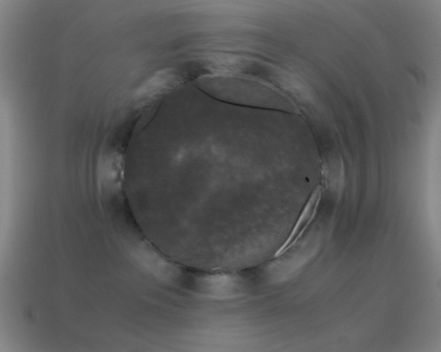 X0000114410237200910161213