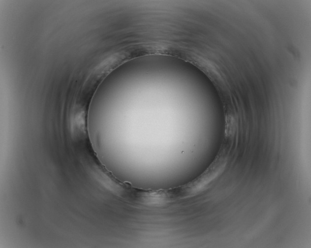X0000114410238200910161213