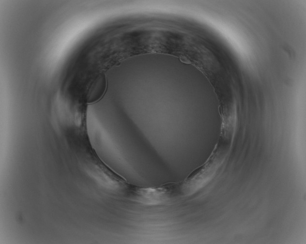 X0000114410239200910161213
