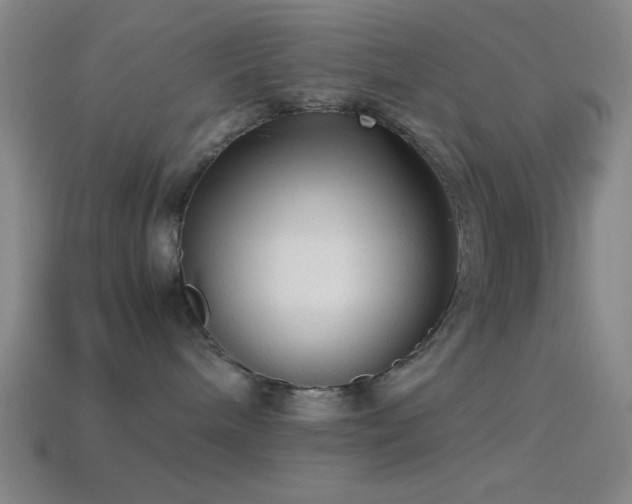 X0000114410240200910161213