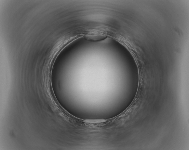 X0000114410241200910161212