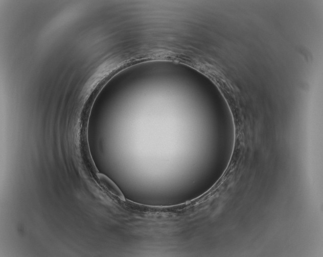 X0000114410242200910161212