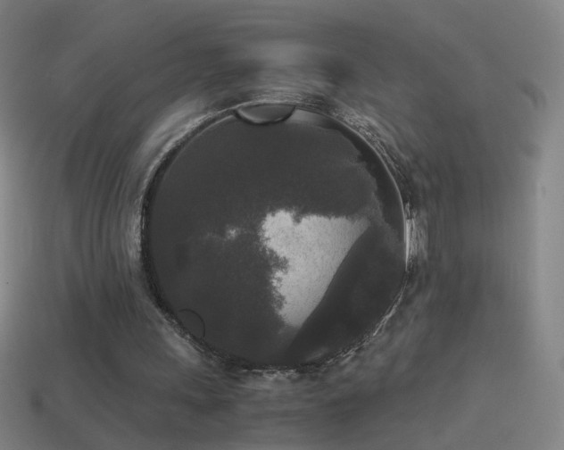 X0000114410243200910161212