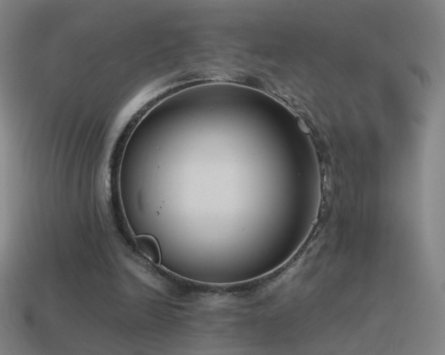 X0000114410246200910161213