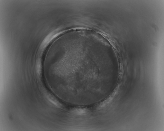 X0000114410247200910161213