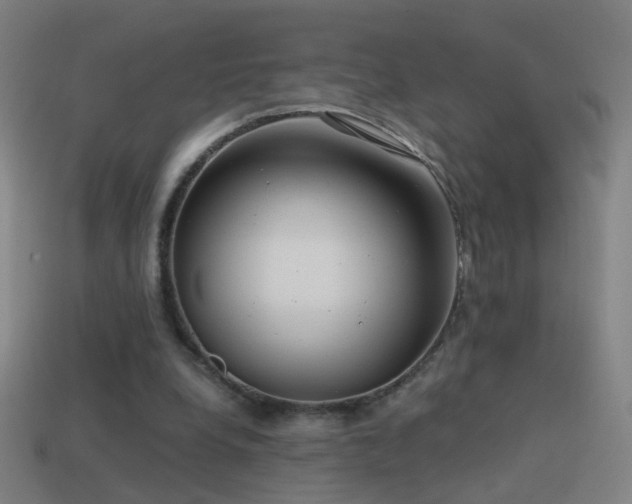 X0000114410248200910161213
