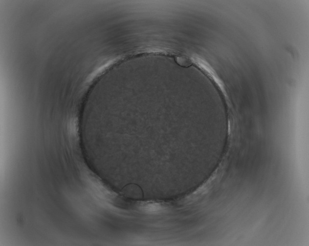 X0000114410249200910161213