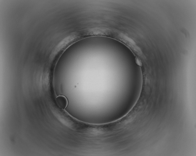 X0000114410250200910161213