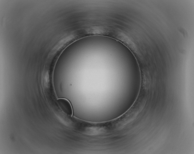 X0000114410251200910161213