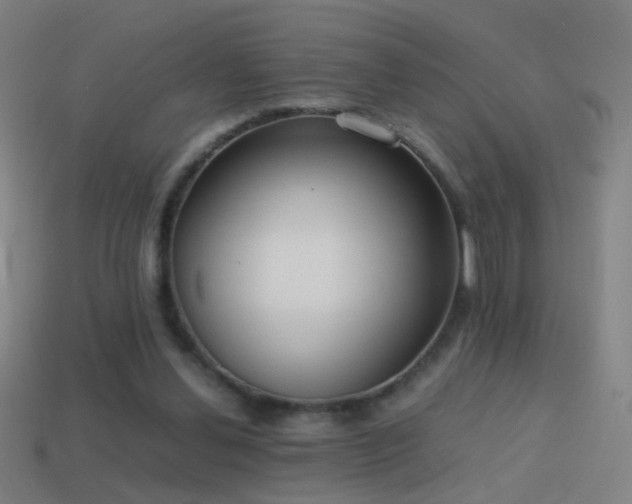 X0000114410252200910161213