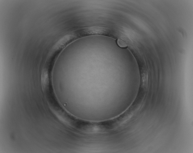 X0000114410254200910161213